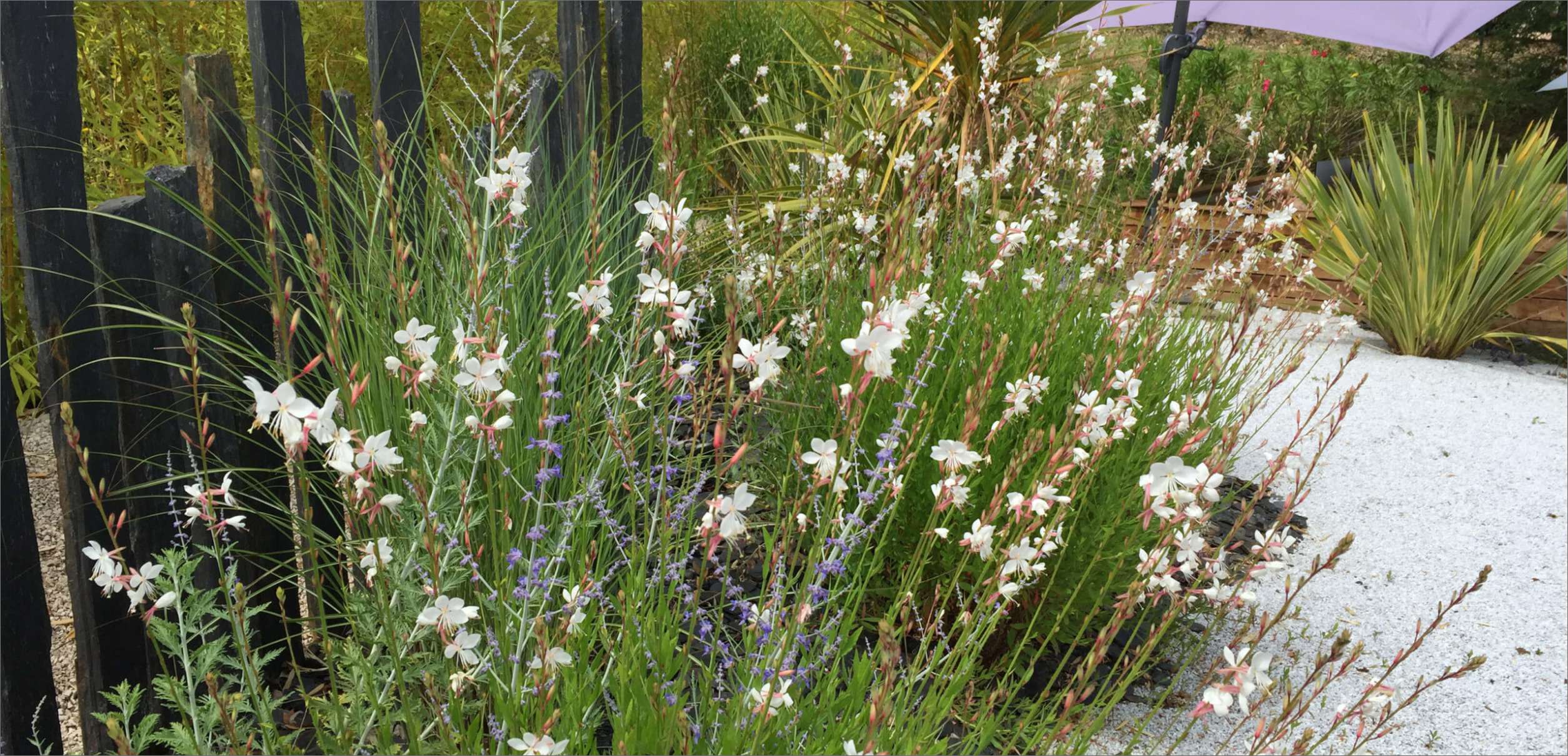 Le <br />
jardin
